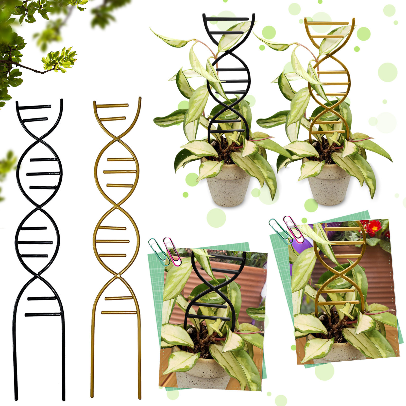 Gardening Tools For Vines - Plant Climbing Support Gardens Flower Pots