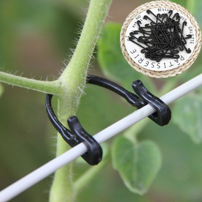 Gardening Tools For Vines - 50PCS Vines Fastener Tied Clips Buckle