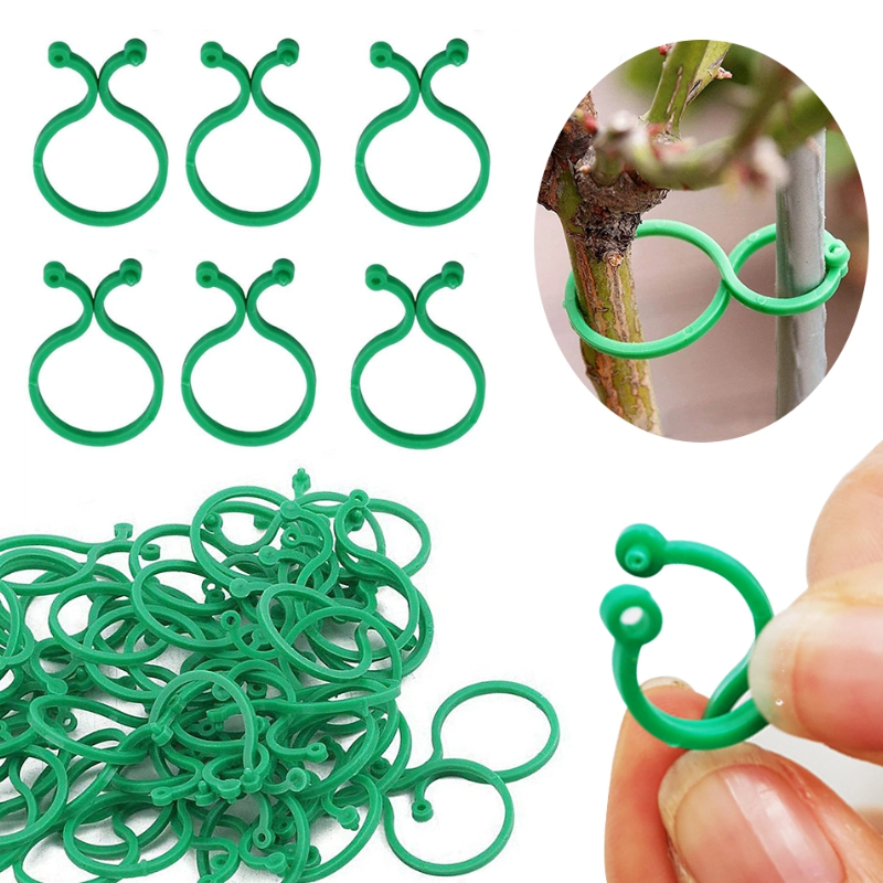 Gardening Tools For Vines - S/L Garden Vine Strapping Clips Plant