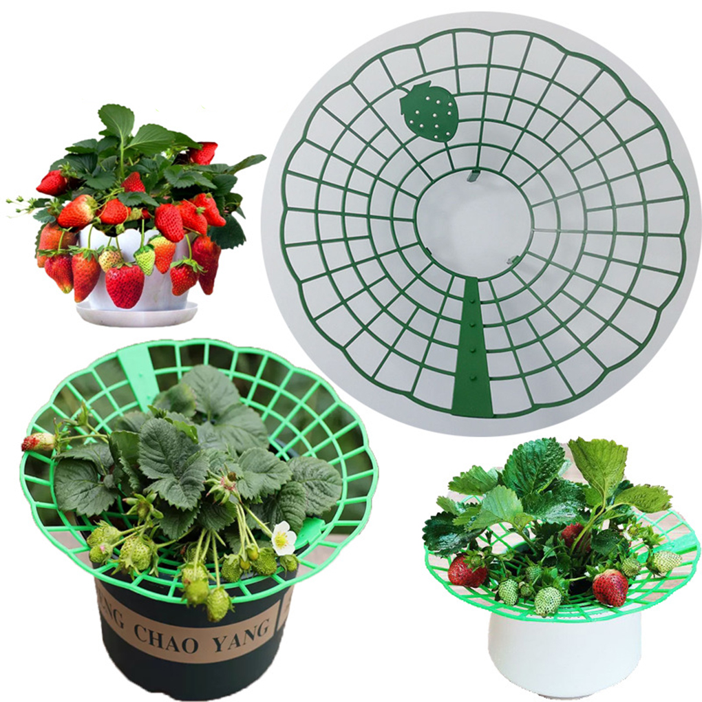 20PCS Strawberry Stand Green C - Gardening Tools For Vines avaliação e preço