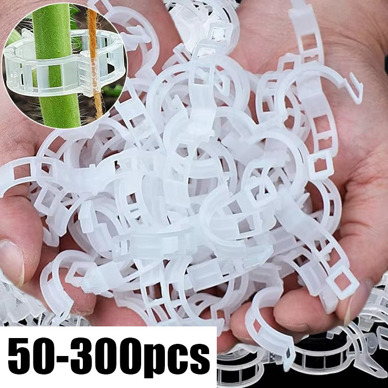 50-300PCS Plant Support Clips  - Gardening Tools For Vines avaliação e preço