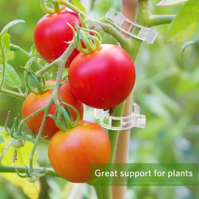 50-300PCS Plant Support Clips  - Gardening Tools For Vines avaliação e preço