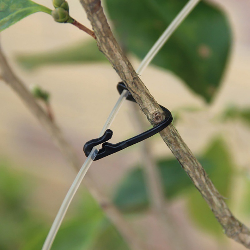50PCS Vines Fastener Tied Clip - Gardening Tools For Vines avaliação e preço