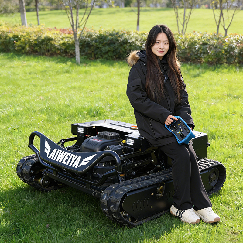 Customized remote control lawn - Gardening Tools Sale avaliação e preço