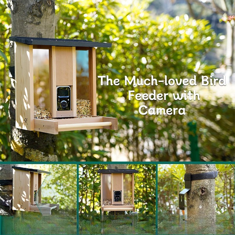 AI intelligent bird feeder wit - Gardening Tools Definition avaliação e preço
