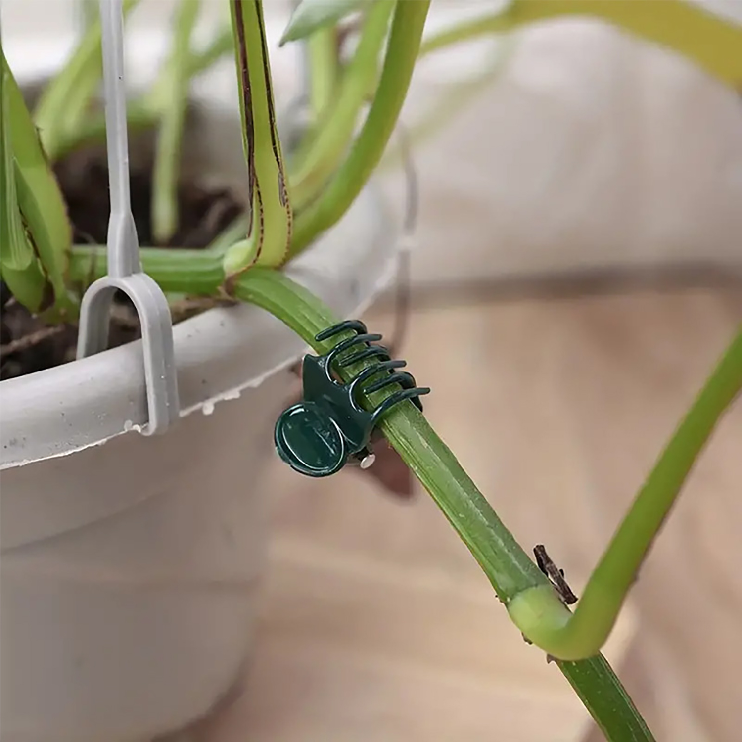 50/100Pcs Plant Clips Butterfl - Gardening Tools For Vines avaliação e preço
