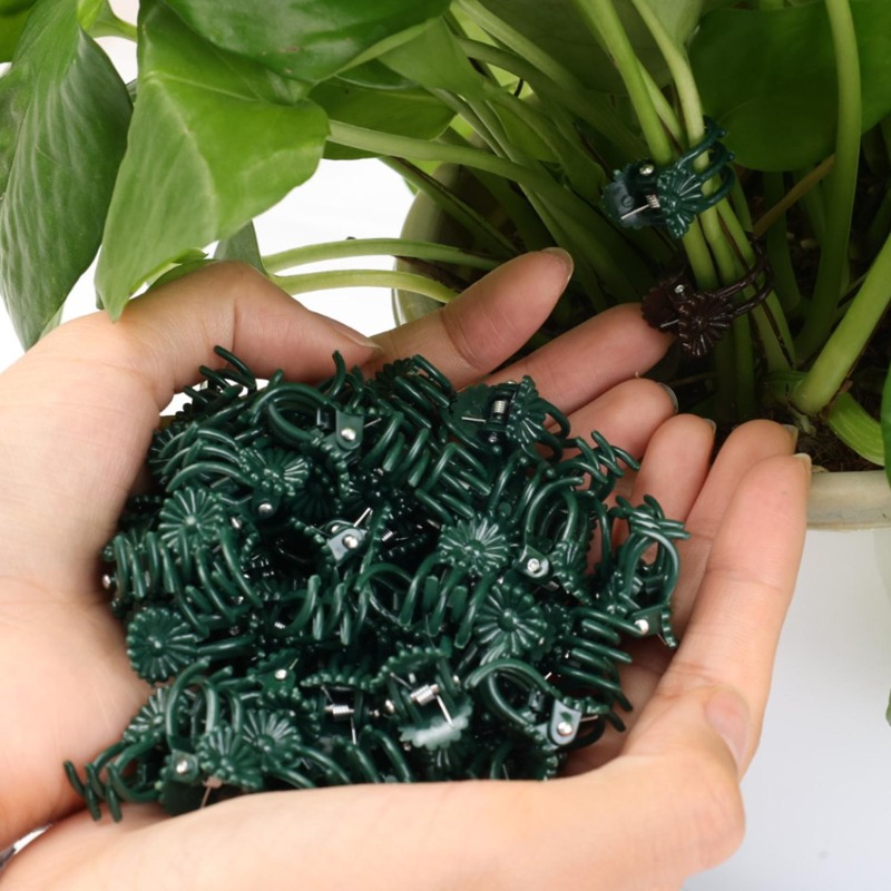 Wholesale Mini Plant Support C - Gardening Tools For Vines avaliação e preço