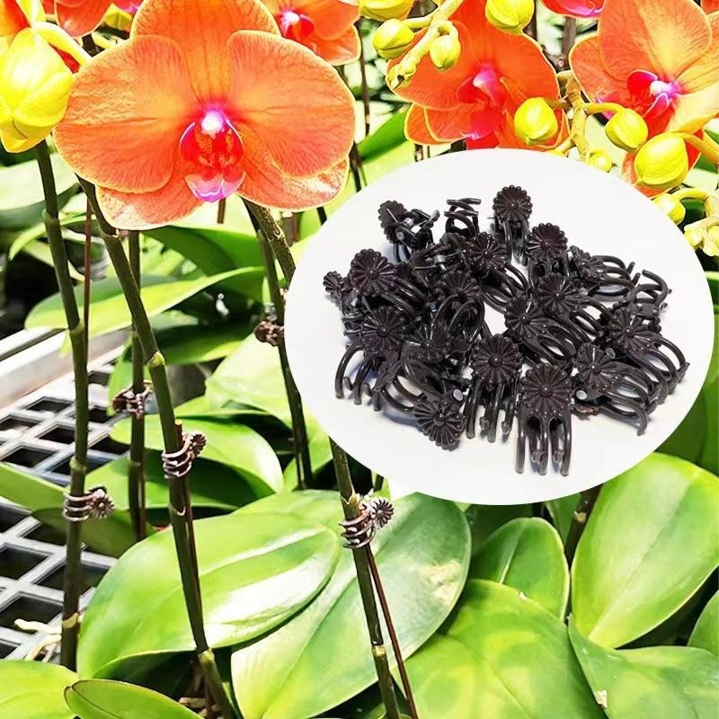 Wholesale Mini Plant Support C - Gardening Tools For Vines avaliação e preço