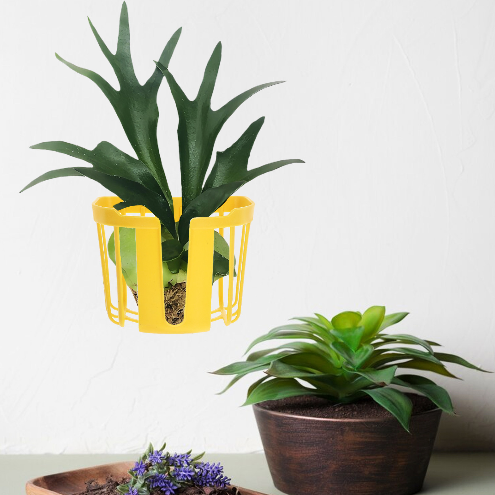 8Pcs Wall Mounted Planters Bas - Hanging Planter Basket avaliação e preço
