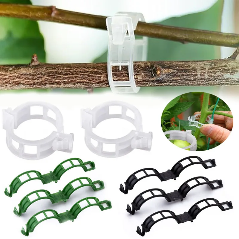 100PCS Plant Fixing Clips Reus - Gardening Tools For Vines avaliação e preço