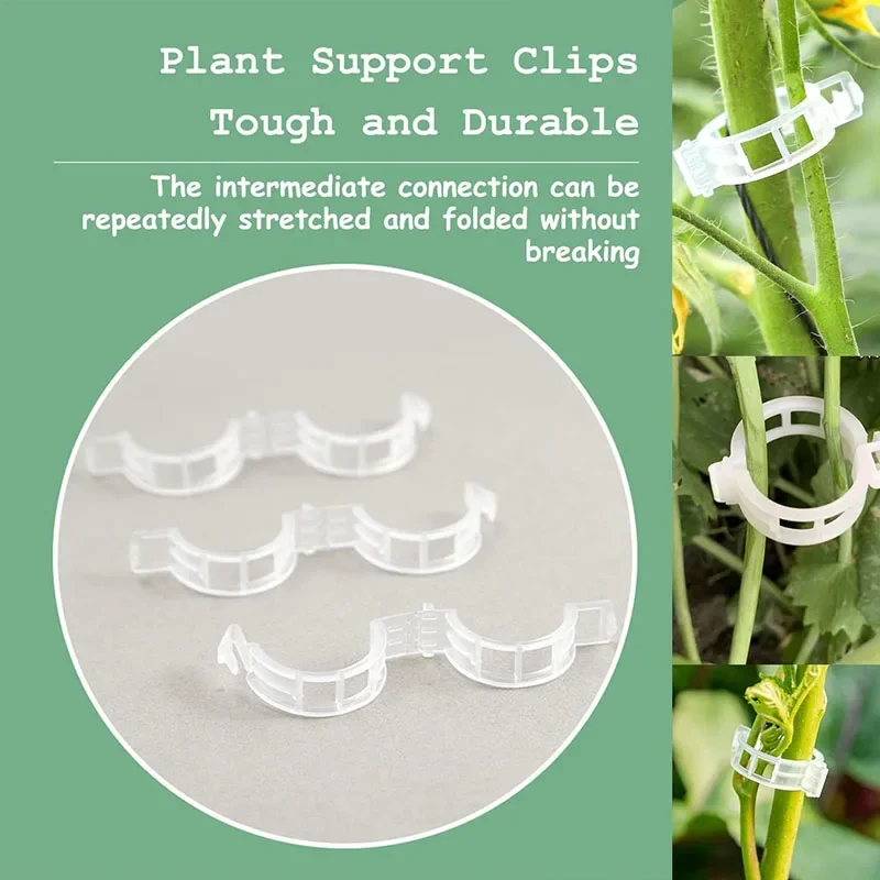 100PCS Plant Fixing Clips Reus - Gardening Tools For Vines avaliação e preço