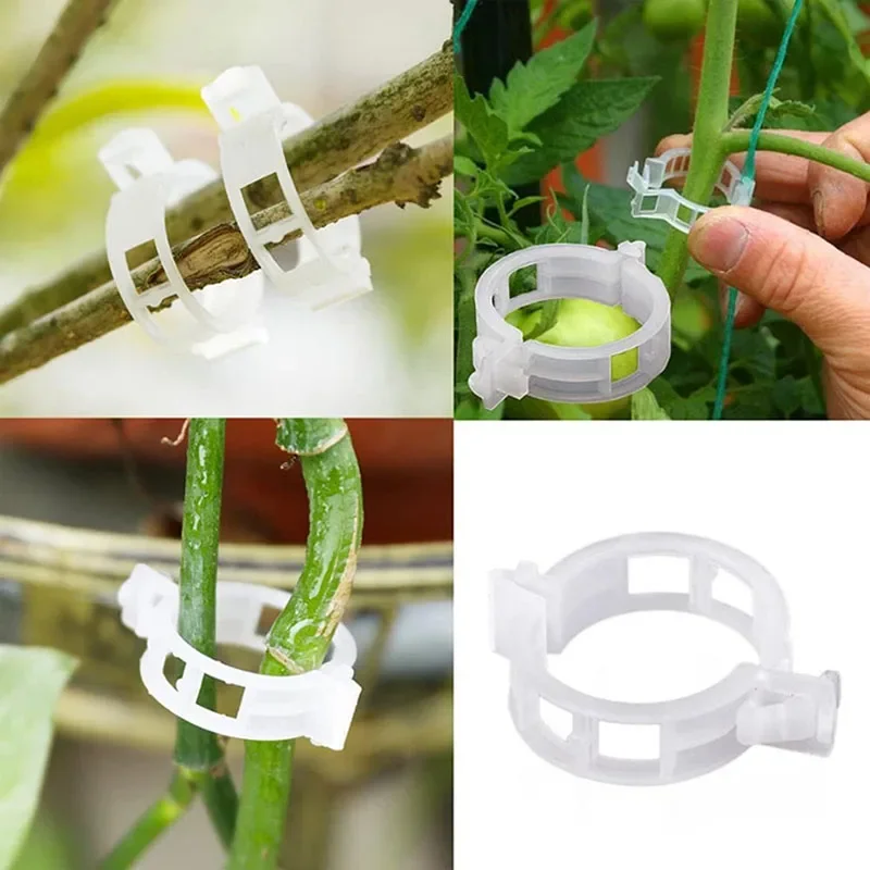 100PCS Plant Fixing Clips Reus - Gardening Tools For Vines avaliação e preço
