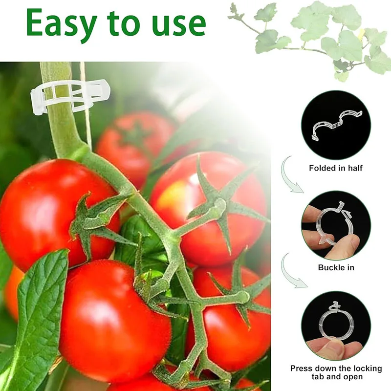 100PCS Plant Fixing Clips Reus - Gardening Tools For Vines avaliação e preço