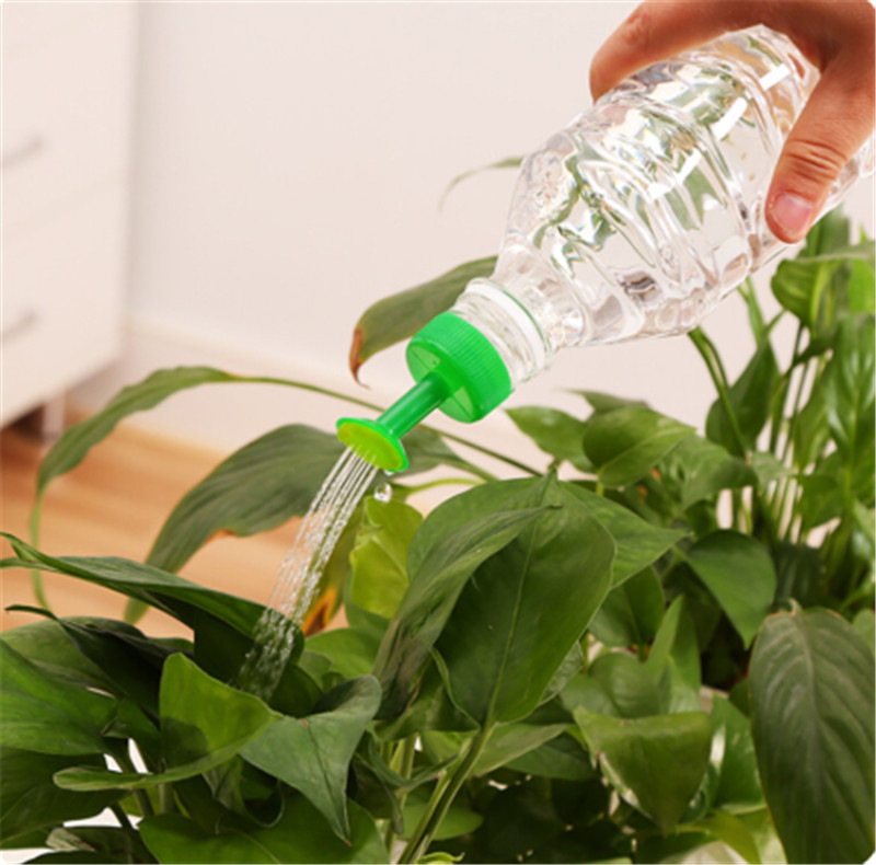 Durable Plastic Plant Water Ca - Gardening Tools Sale avaliação e preço