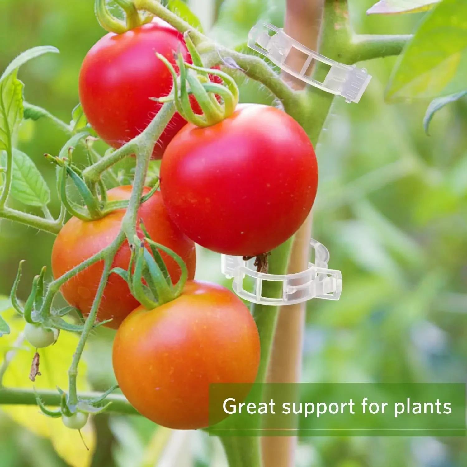 500/50PCS Plant Support Clips  - Gardening Tools For Vines avaliação e preço