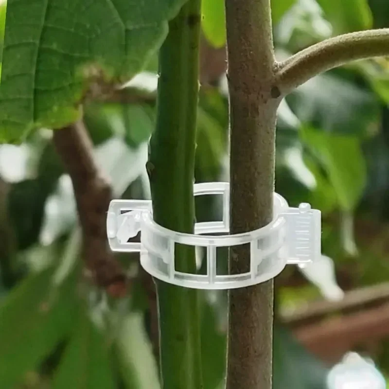 500/50PCS Plant Support Clips  - Gardening Tools For Vines avaliação e preço