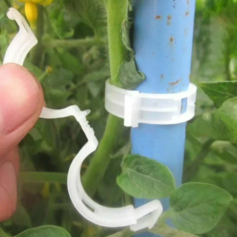 500/50PCS Plant Support Clips  - Gardening Tools For Vines avaliação e preço