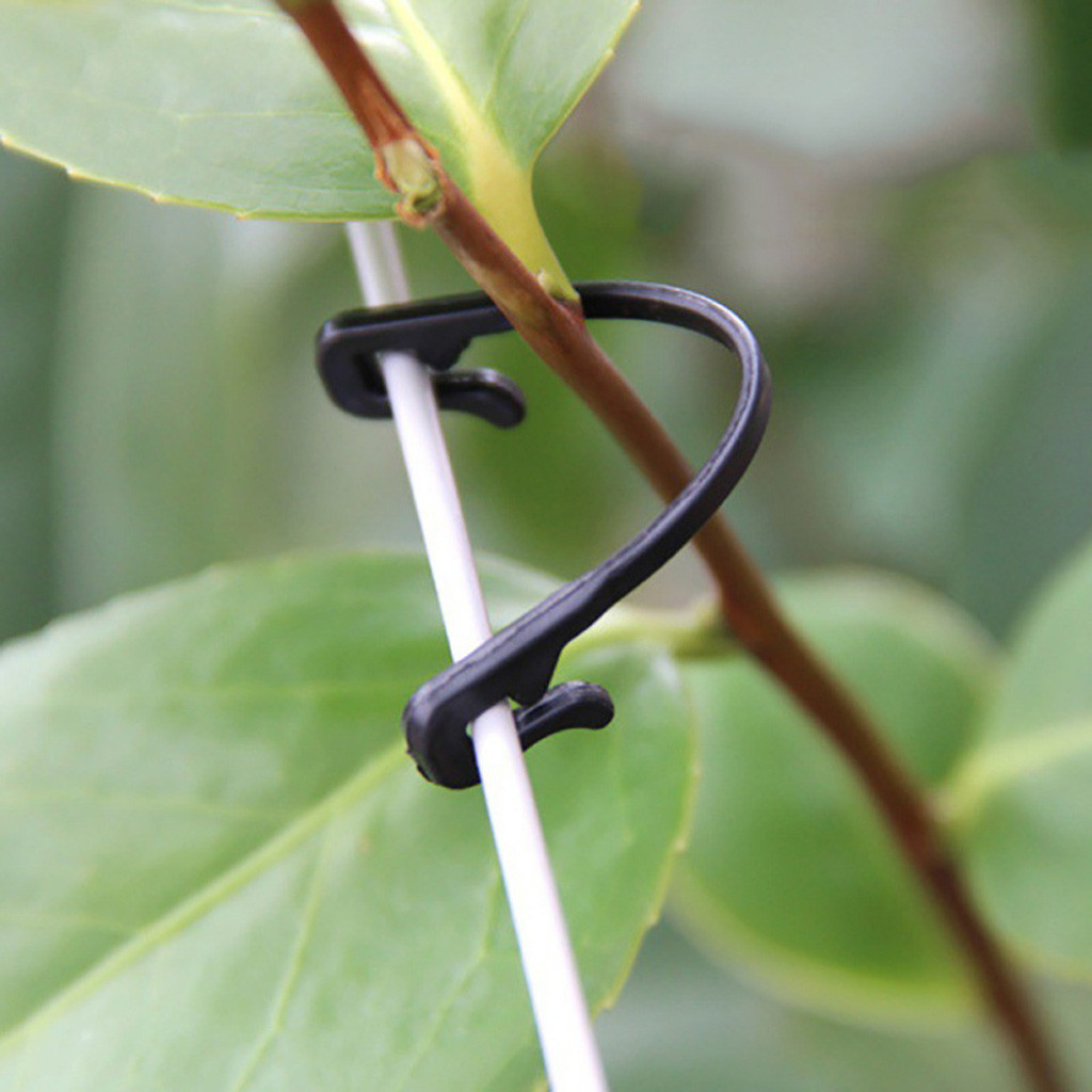 50-500PCS Vines Fastener Tied  - Gardening Tools For Vines avaliação e preço