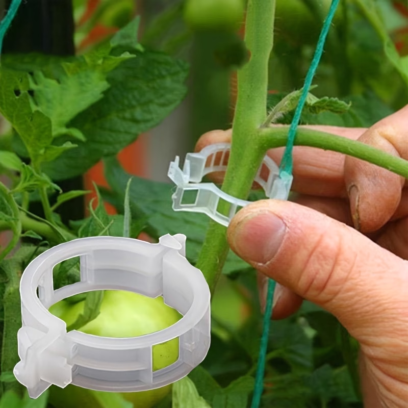 Wholesale Plant Support Clips  - Gardening Tools For Vines avaliação e preço