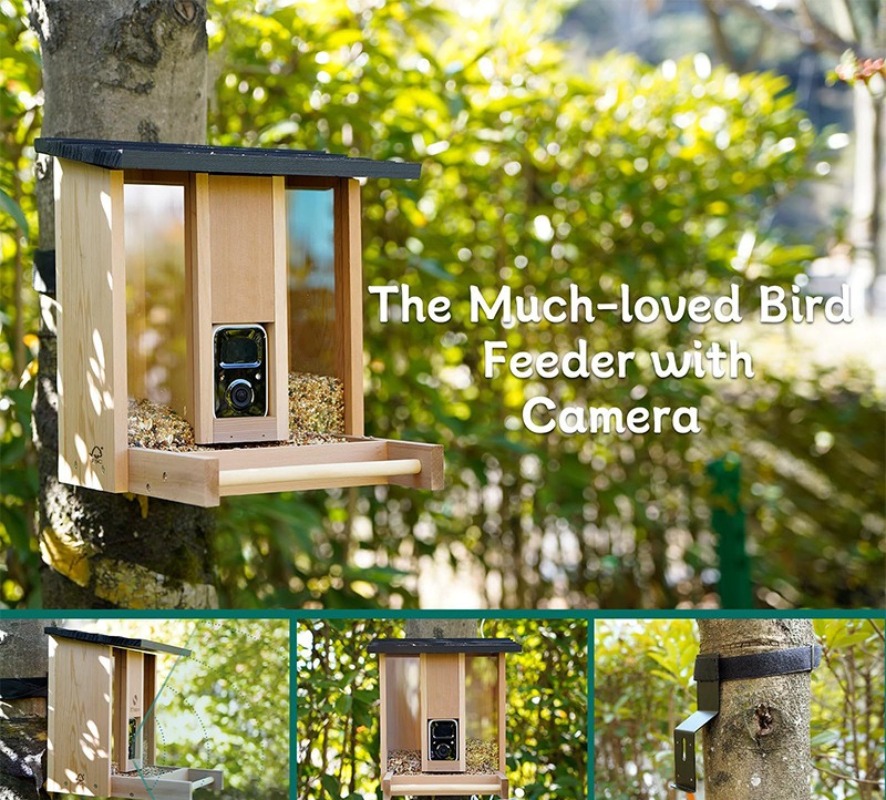 AI intelligent bird feeder wit - Gardening Tools Definition avaliação e preço