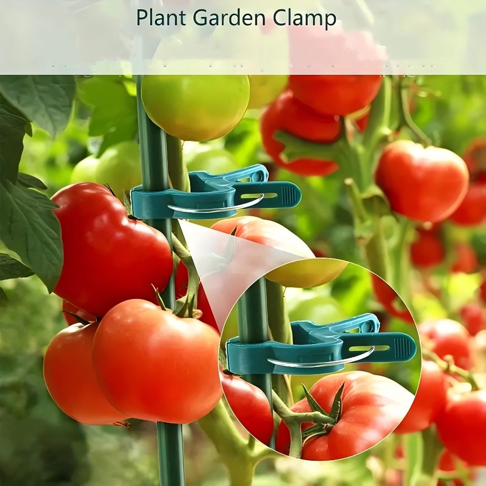 10/30/50pcs Adjustable Plant C - Gardening Tools For Vines avaliação e preço