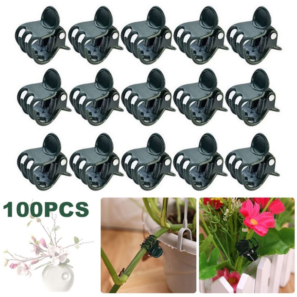 Vine Grafting Plant Clips Supp - Gardening Tools For Vines avaliação e preço