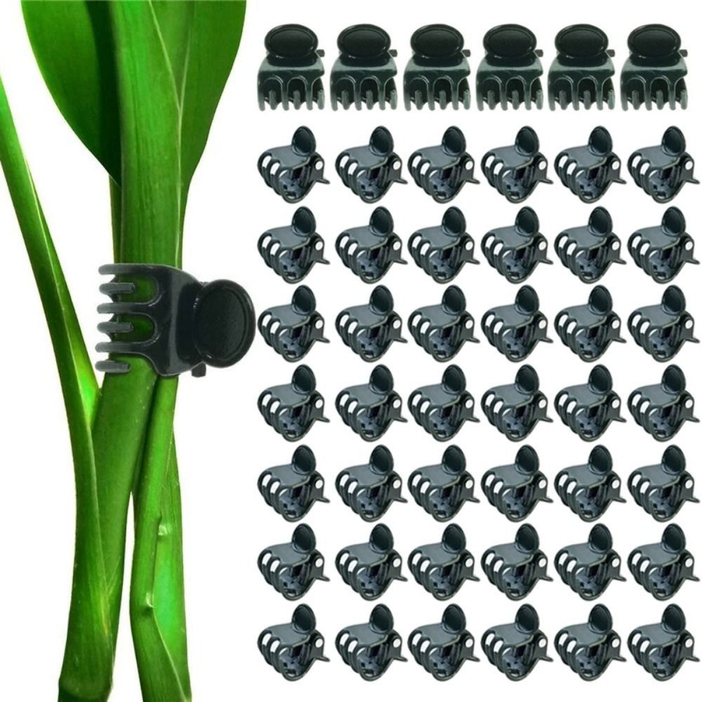 Vine Grafting Plant Clips Supp - Gardening Tools For Vines avaliação e preço