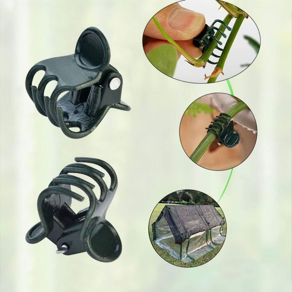 Vine Grafting Plant Clips Supp - Gardening Tools For Vines avaliação e preço