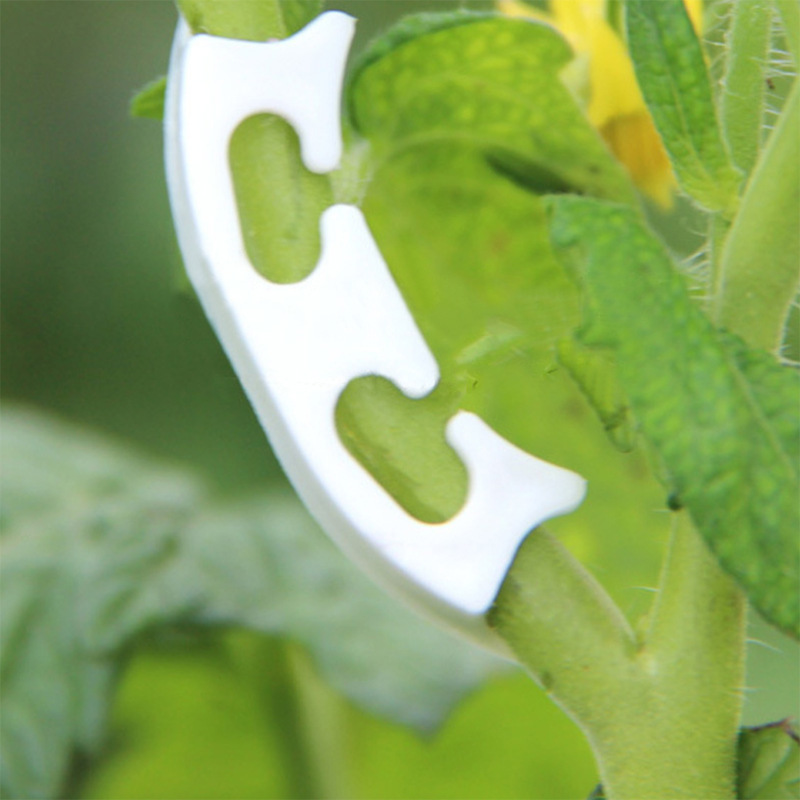 50/100pcs Botany-stem Vine Str - Gardening Tools For Vines avaliação e preço