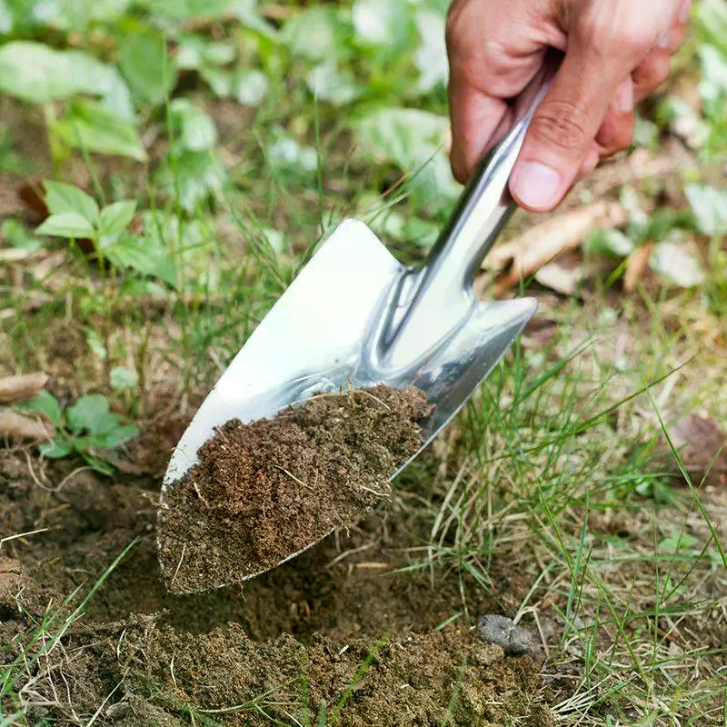 Stainless Steel Small Shovel P - Gardening Tools Sale avaliação e preço