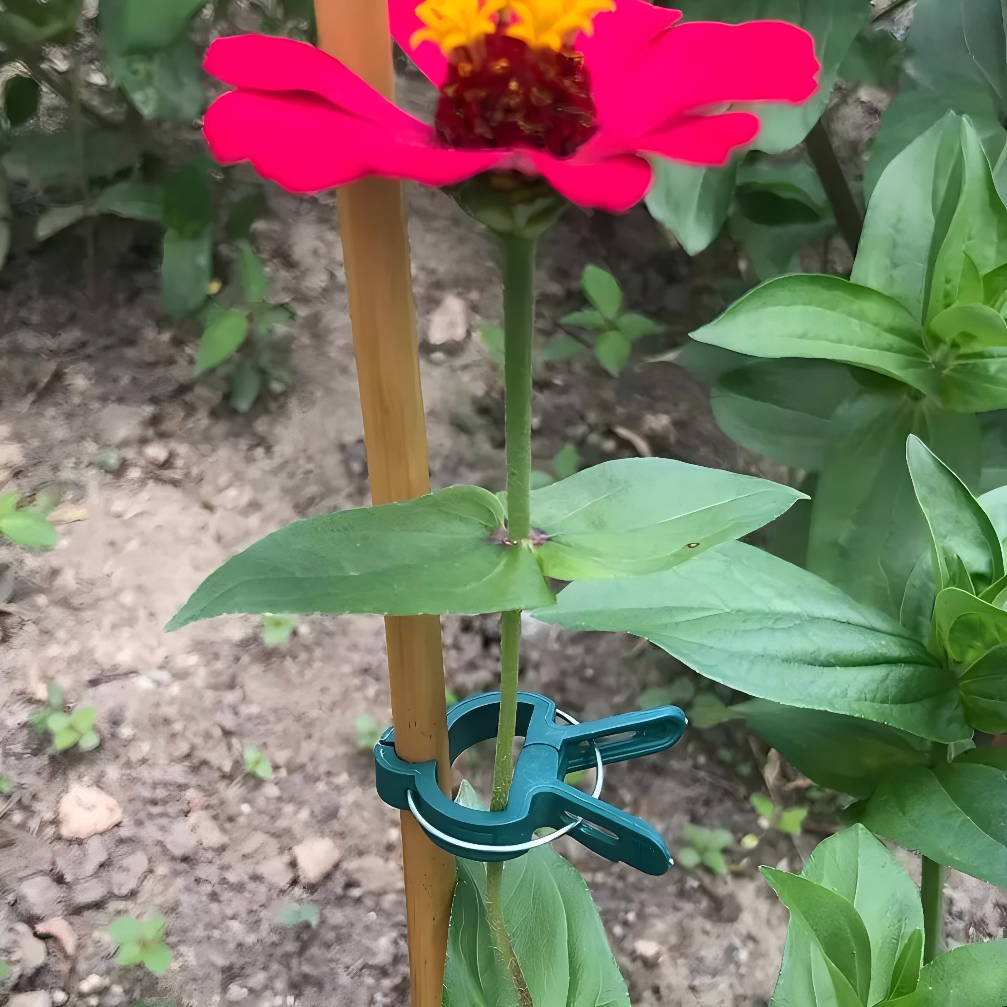 20 Adjustable Plant Support Cl - Gardening Tools For Vines avaliação e preço