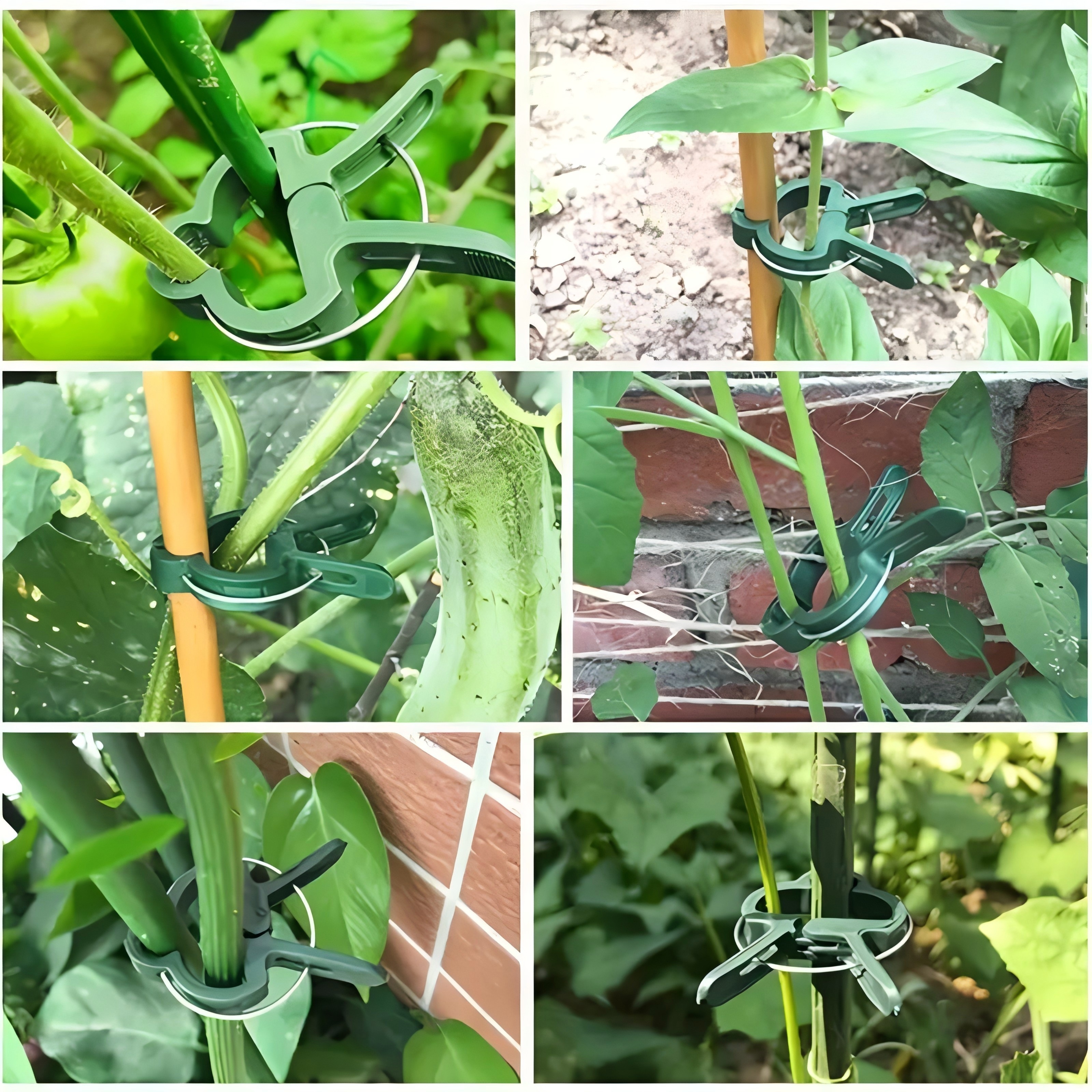 20 Adjustable Plant Support Cl - Gardening Tools For Vines avaliação e preço