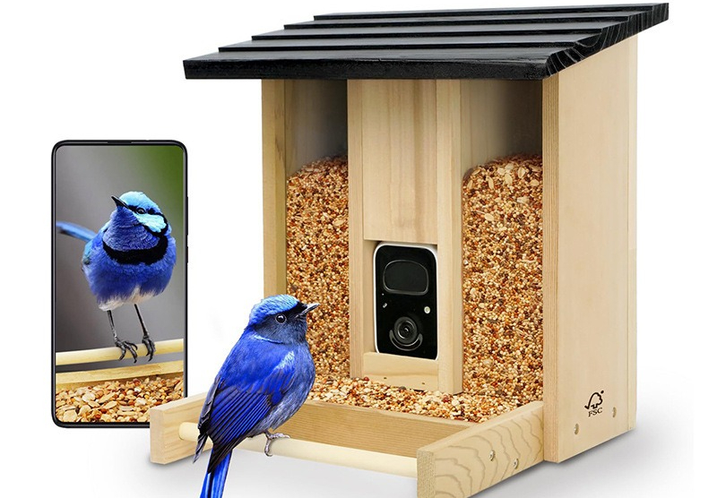 Bamboo wood intelligent bird f - Gardening Tools Definition avaliação e preço