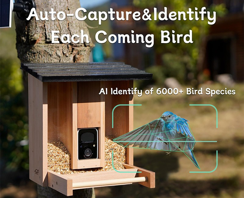 Bamboo wood intelligent bird f - Gardening Tools Definition avaliação e preço
