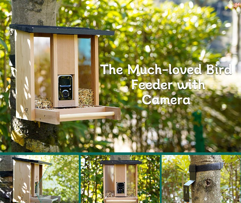 Bamboo wood intelligent bird f - Gardening Tools Definition avaliação e preço