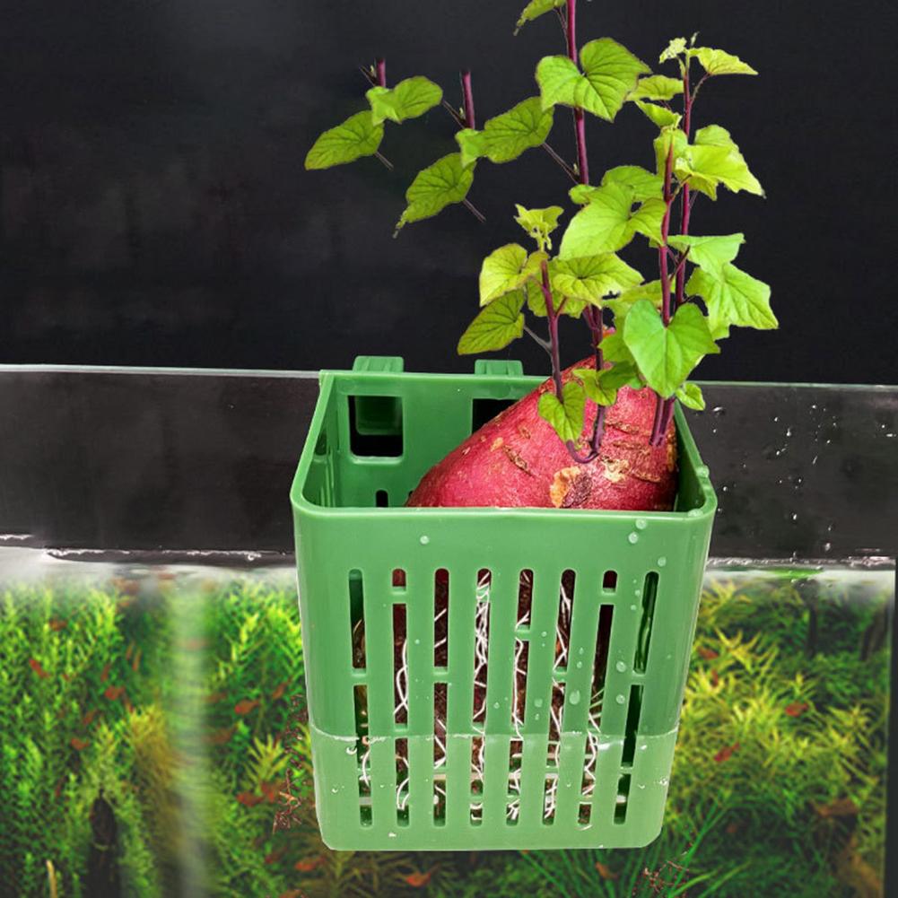 Hanging Aquarium Plant Holder  - Hanging Planter Basket avaliação e preço