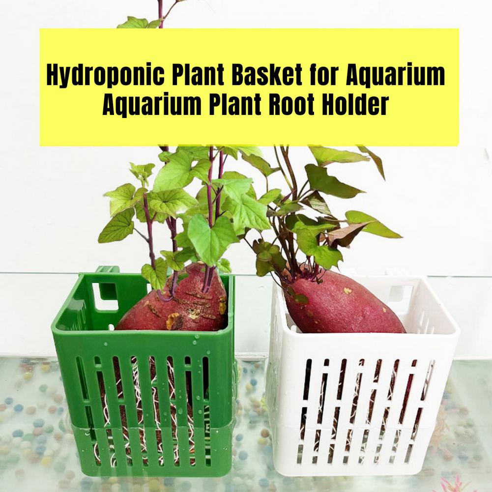 Hanging Aquarium Plant Holder  - Hanging Planter Basket avaliação e preço