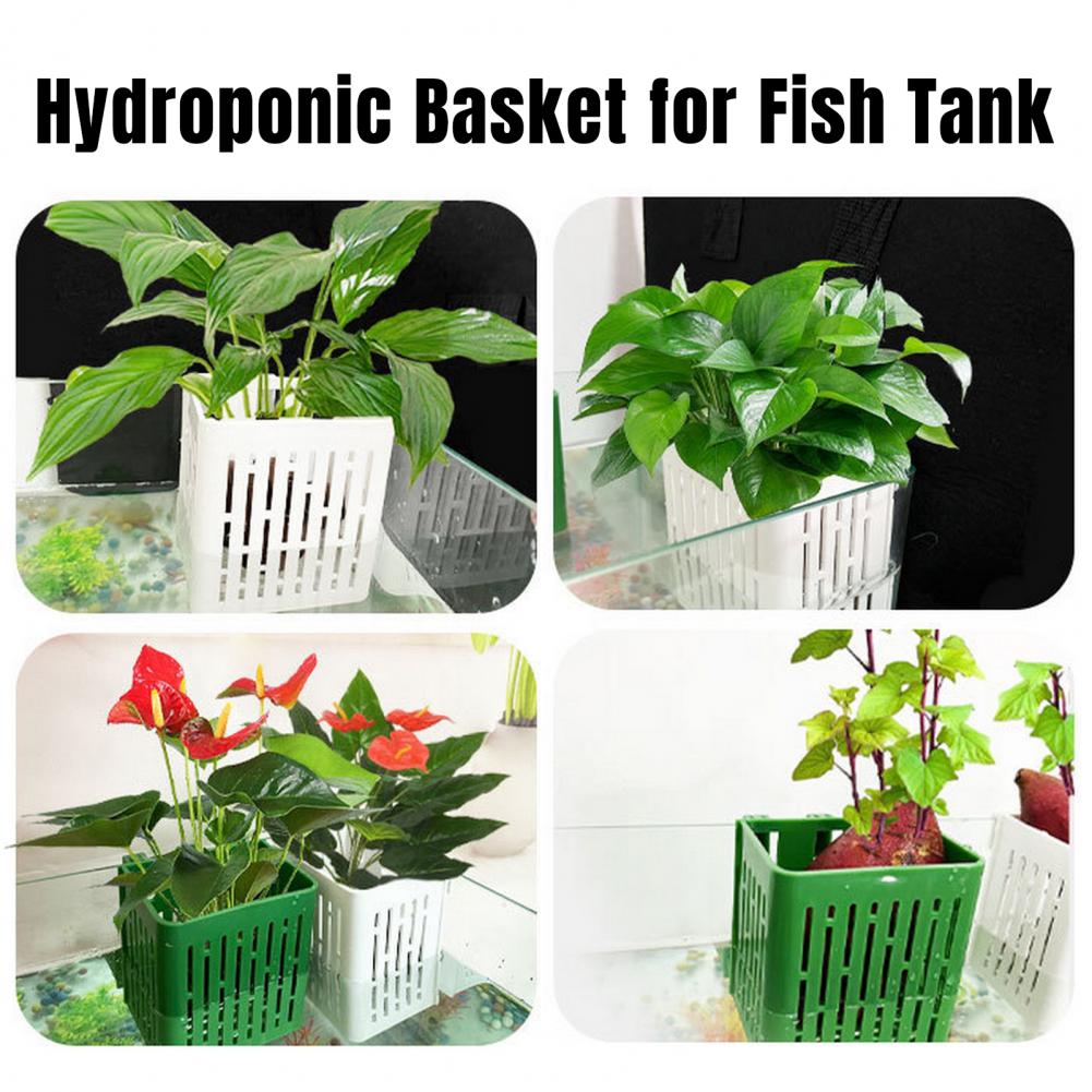 Hanging Aquarium Plant Holder  - Hanging Planter Basket avaliação e preço
