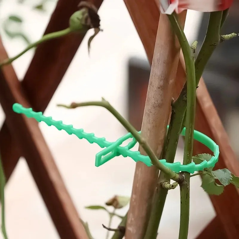 Reusable Garden Cable Ties Pla - Gardening Tools For Vines avaliação e preço