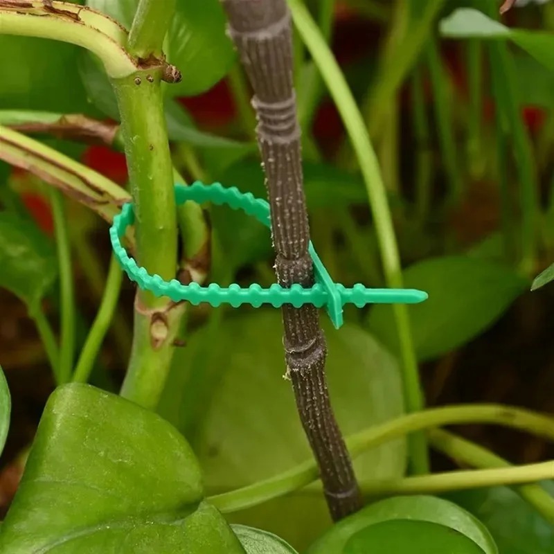 Reusable Garden Cable Ties Pla - Gardening Tools For Vines avaliação e preço