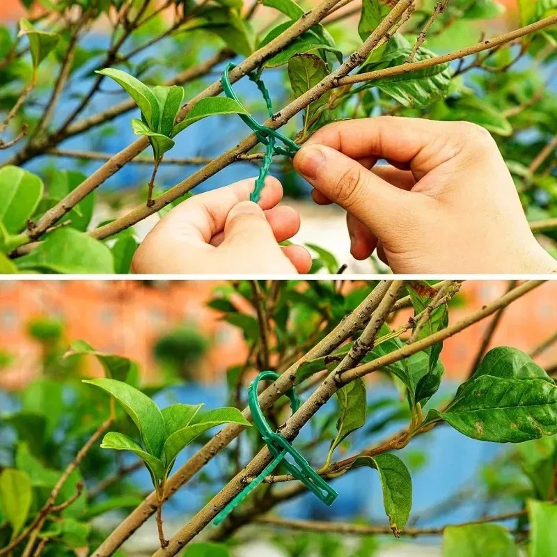 Reusable Garden Cable Ties Pla - Gardening Tools For Vines avaliação e preço