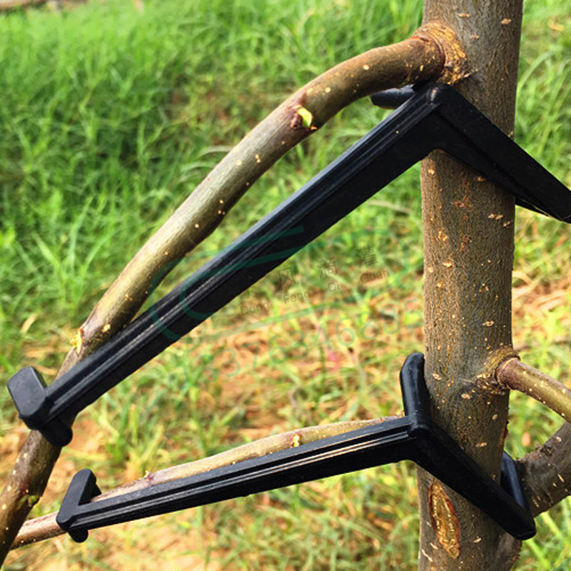 10-30Pcs Fruit Tree Clips Plan - Gardening Tools For Vines avaliação e preço