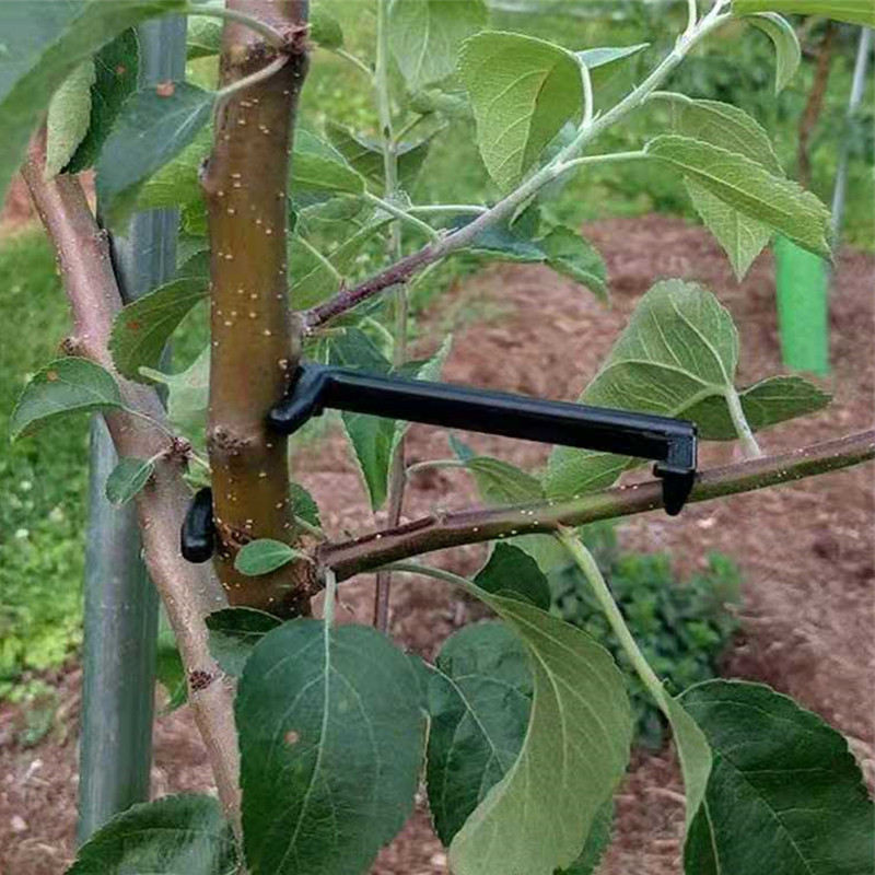 10-30Pcs Fruit Tree Clips Plan - Gardening Tools For Vines avaliação e preço