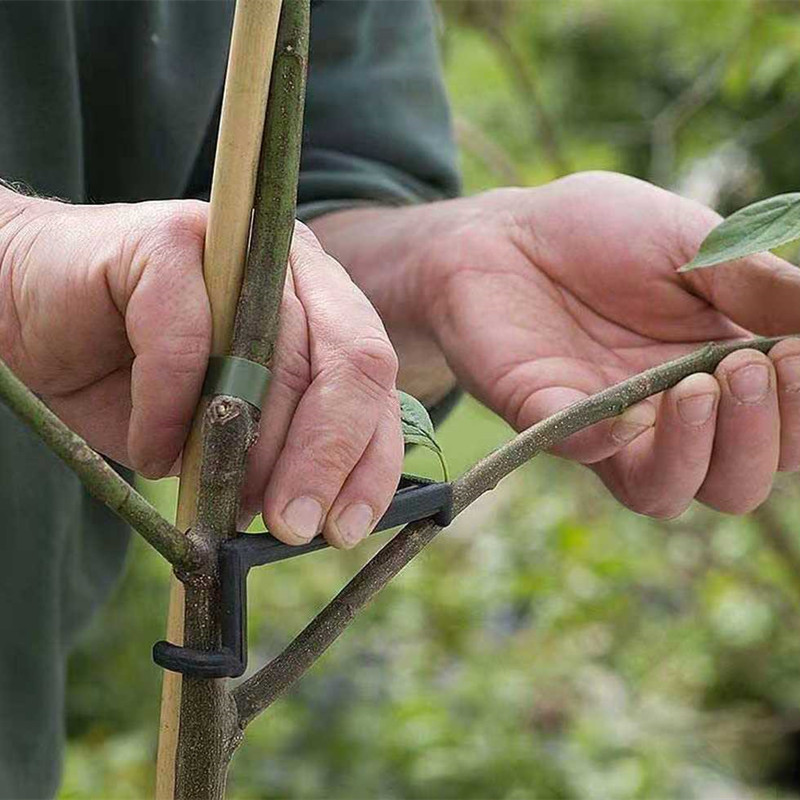 10-30Pcs Fruit Tree Clips Plan - Gardening Tools For Vines avaliação e preço