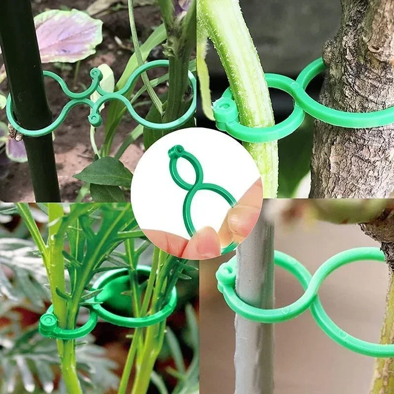 Plastic Garden Vine Strapping  - Gardening Tools For Vines avaliação e preço