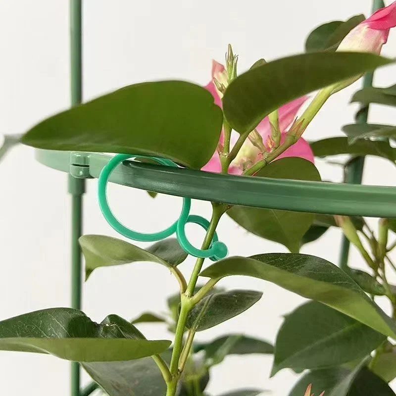 Plastic Garden Vine Strapping  - Gardening Tools For Vines avaliação e preço