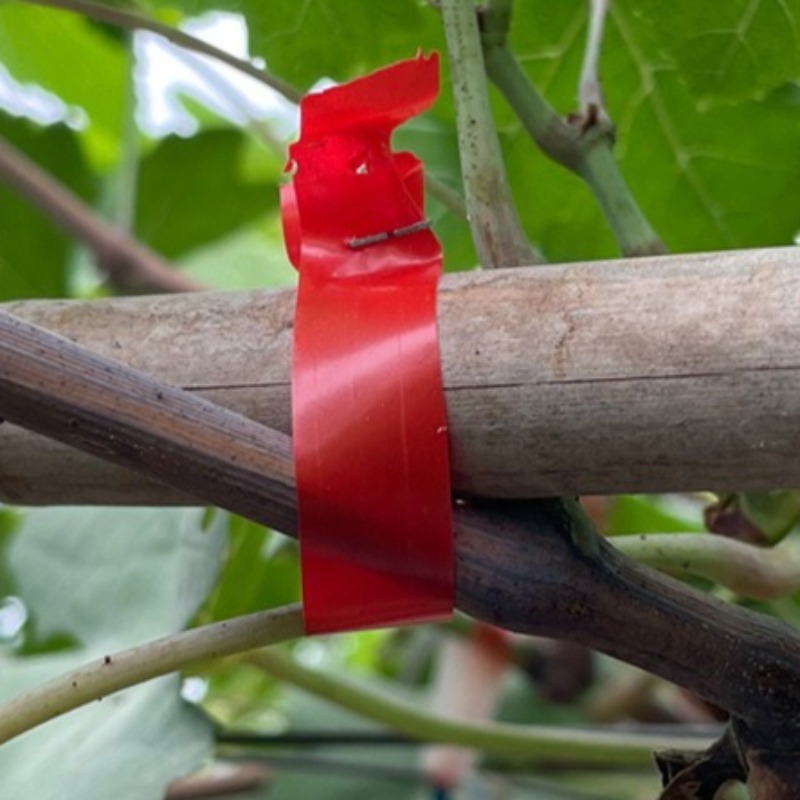 Grape Branch Binding Machine S - Gardening Tools For Vines avaliação e preço
